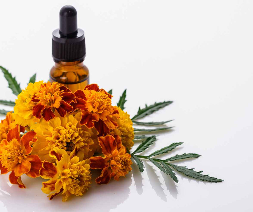 BOTANICAL SKINCARE ORIGIN