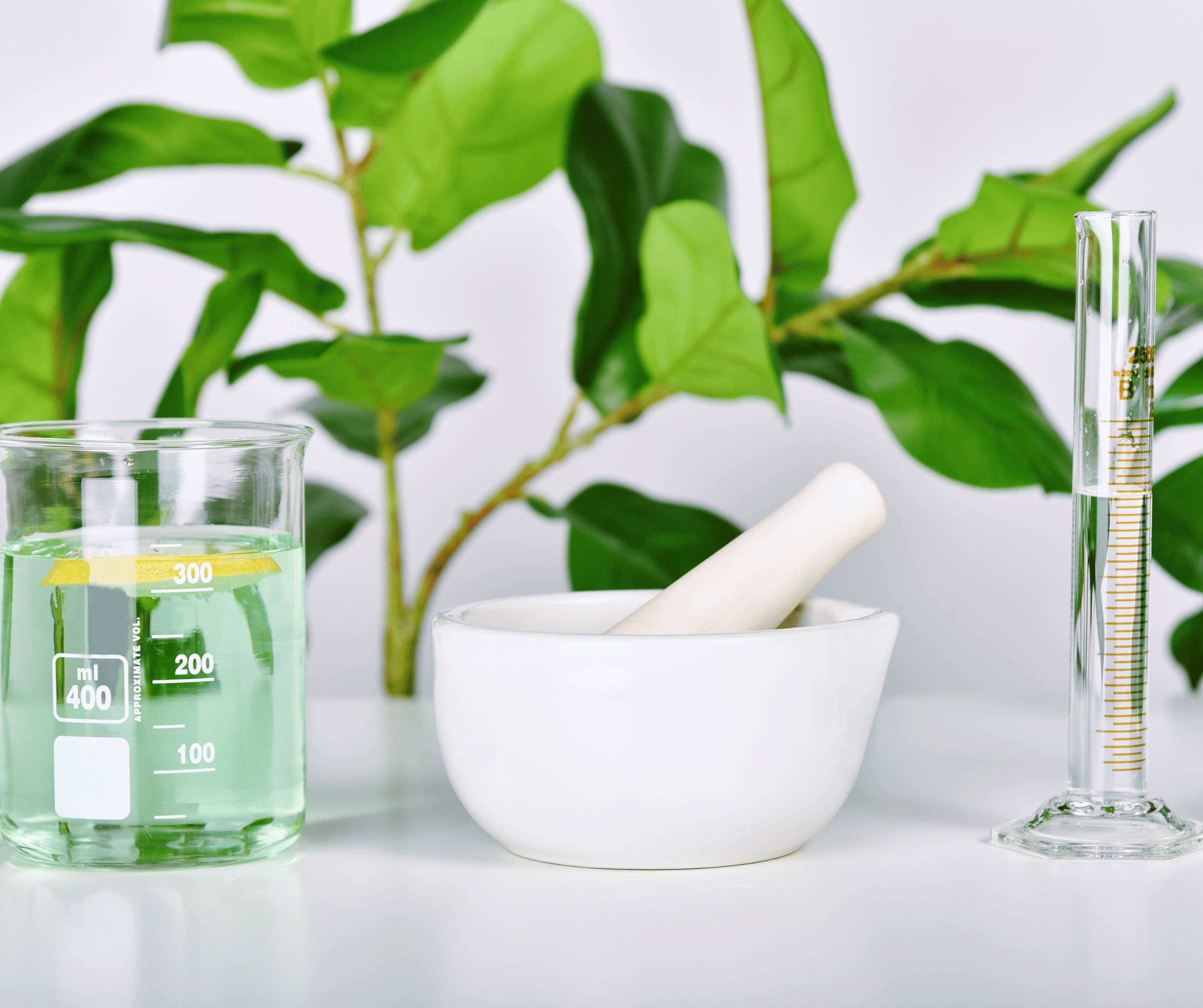 Sodium Lauryl Sulfoacetate (SLSA)  Friendly Surfactant