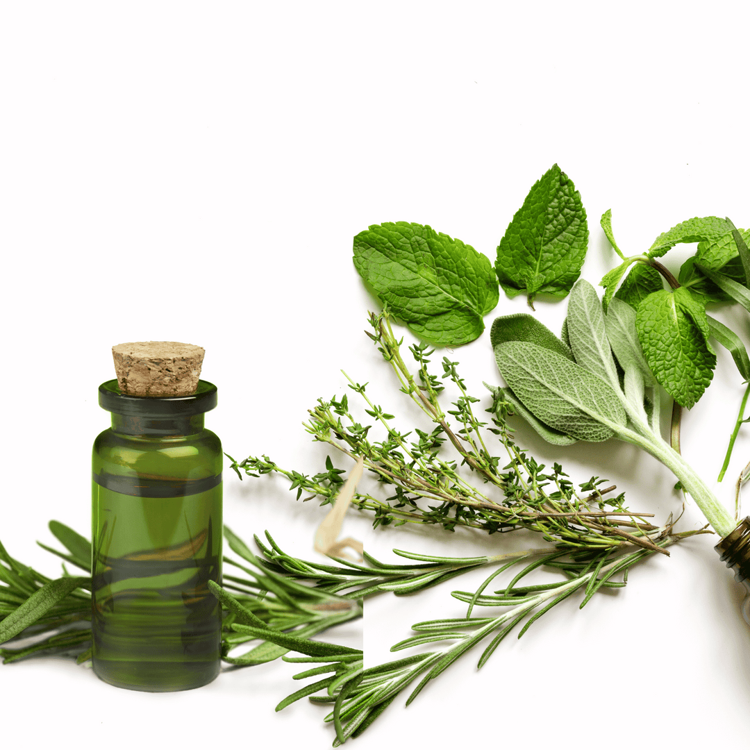 AROMATHERAPY PURE THERAPEUTIC OIL RELEVANCE