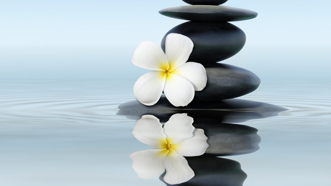 ZEN BLOOM COLLECTION