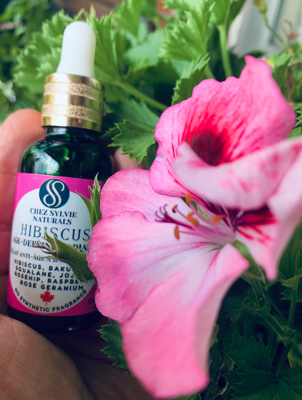 rose geranium calm relax senses